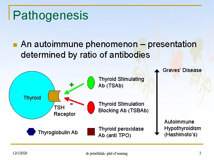 Pathogenesis n An autoimmune phenomenon – presentation determined by ratio of antibodies Graves’ Disease