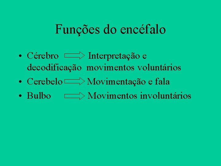 Funções do encéfalo • Cérebro decodificação • Cerebelo • Bulbo Interpretação e movimentos voluntários