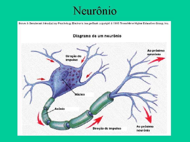 Neurônio 