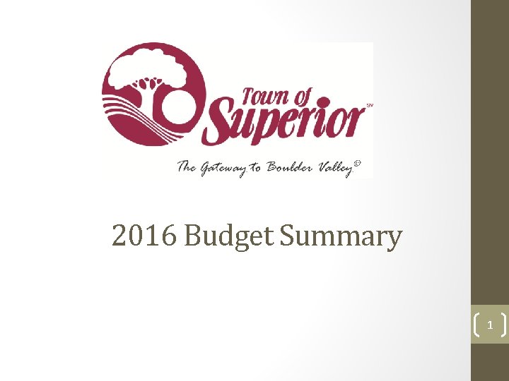 2016 Budget Summary 1 