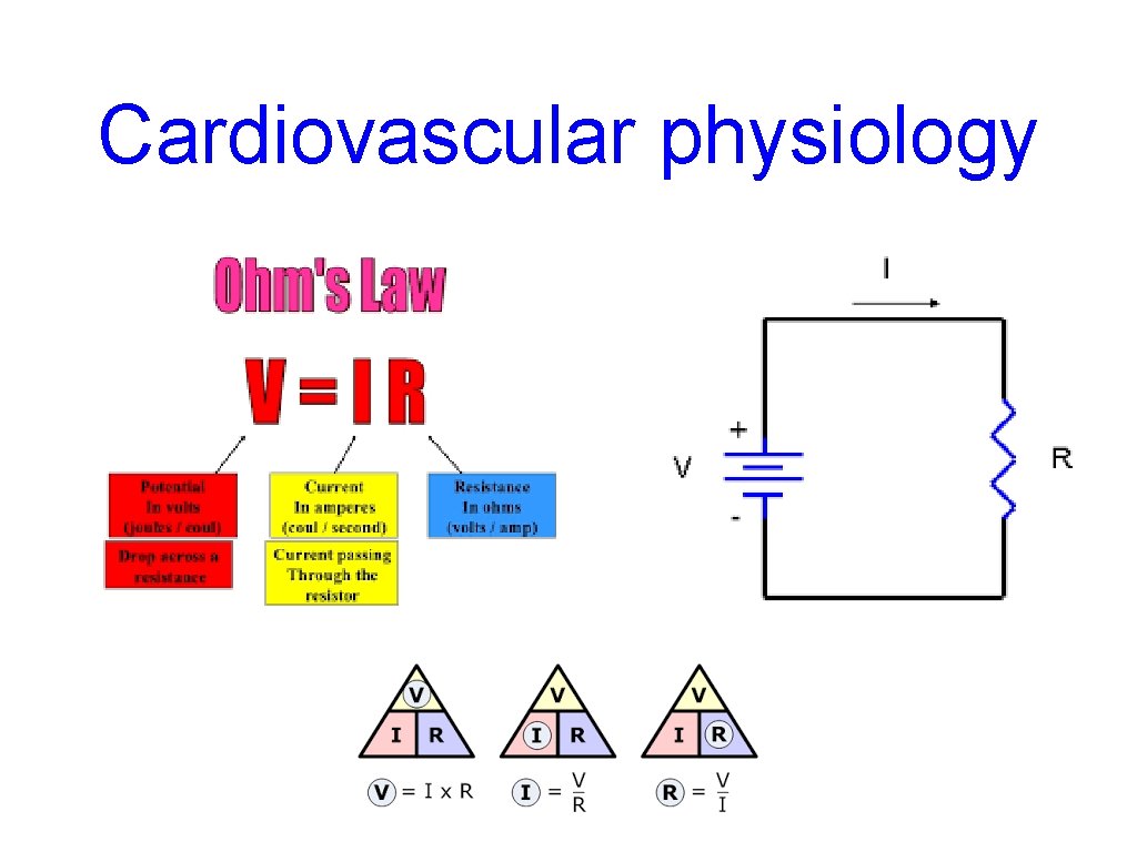 Cardiovascular physiology Cardiovascular physiology
