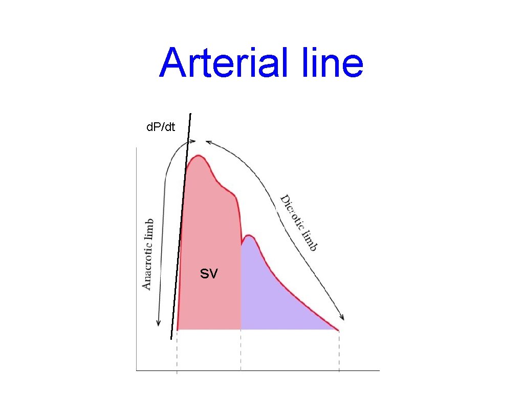 Arterial line d. P/dt sv 