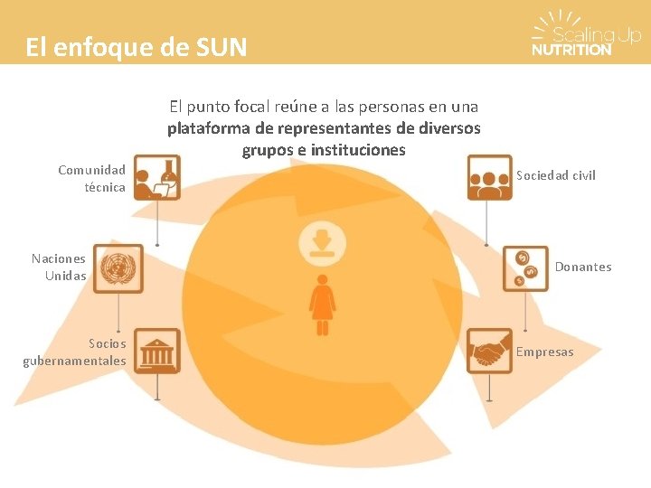 El enfoque de SUN Comunidad técnica Naciones Unidas Socios gubernamentales El punto focal reúne