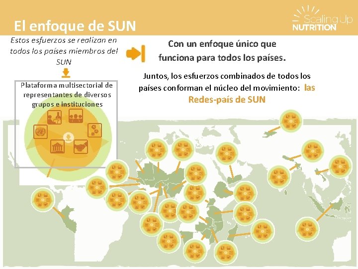 El enfoque de SUN Estos esfuerzos se realizan en todos los países miembros del