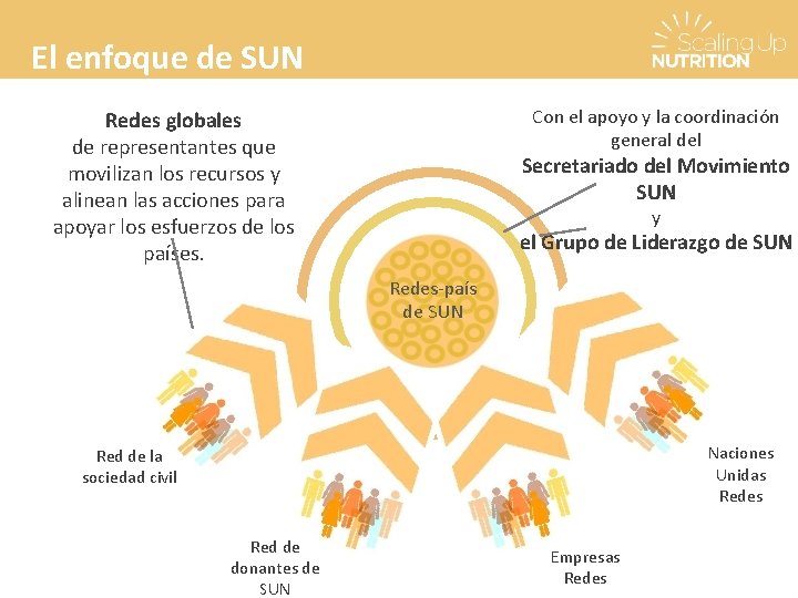 El enfoque de SUN Con el apoyo y la coordinación general del Redes globales
