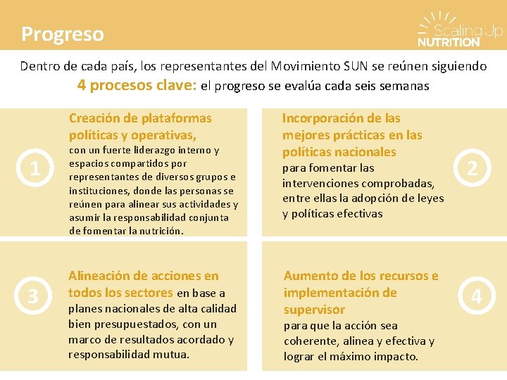 Progreso Dentro de cada país, los representantes del Movimiento SUN se reúnen siguiendo 4