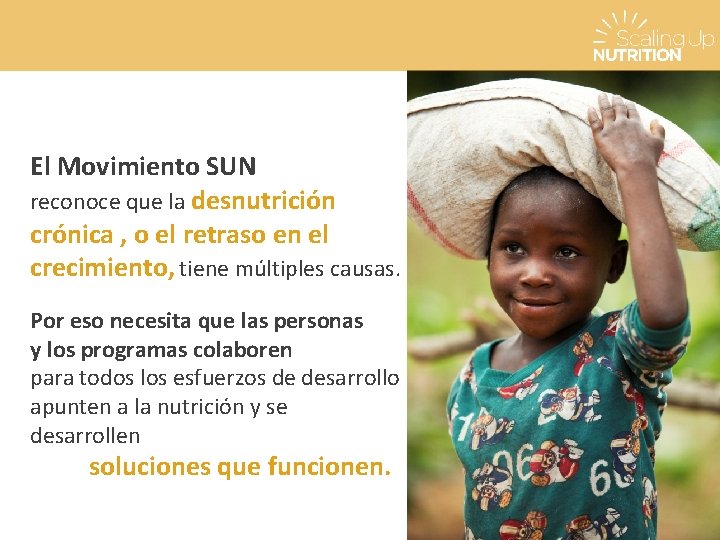 El Movimiento SUN reconoce que la desnutrición crónica , o el retraso en el