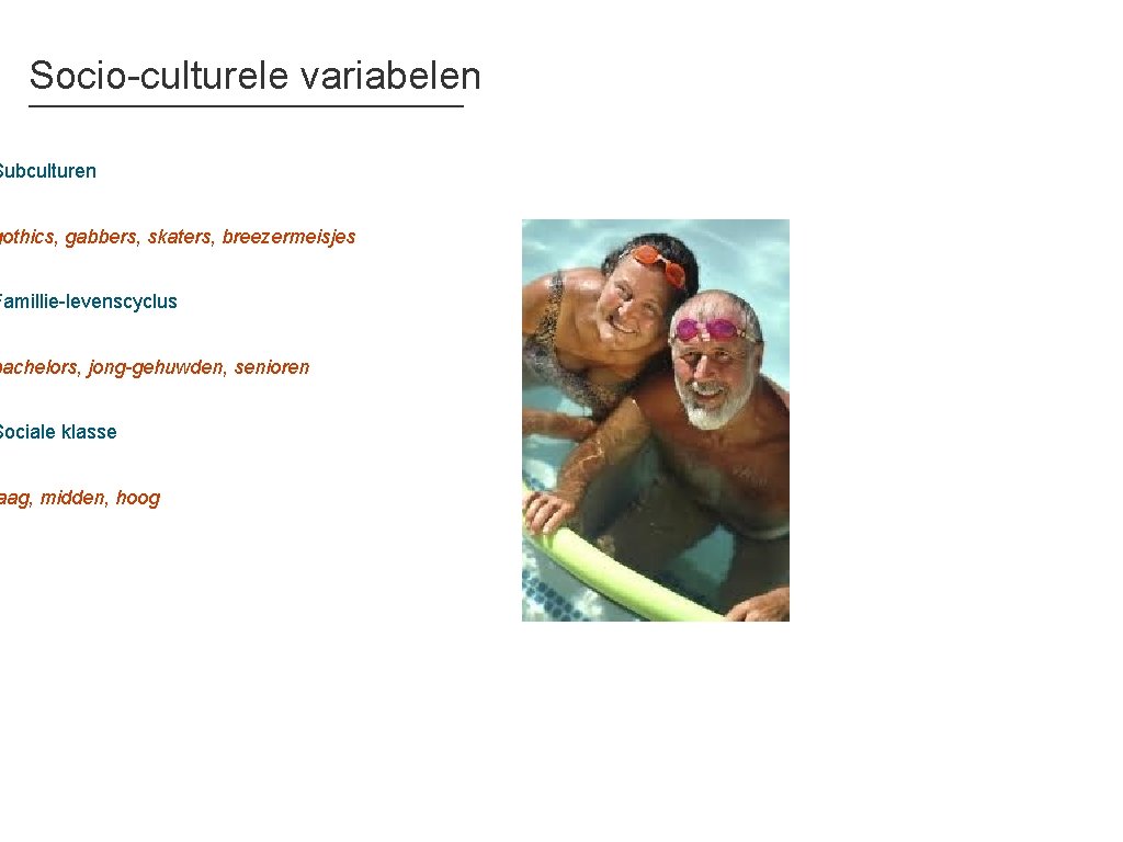 Socio-culturele variabelen Subculturen gothics, gabbers, skaters, breezermeisjes Famillie-levenscyclus bachelors, jong-gehuwden, senioren Sociale klasse aag,