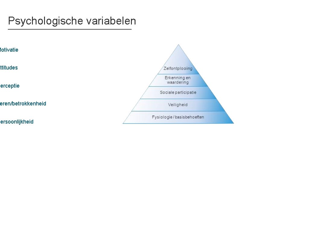 Psychologische variabelen Motivatie Attitudes Perceptie eren/betrokkenheid Persoonlijkheid 