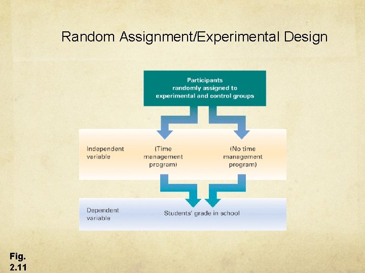 Random Assignment/Experimental Design Fig. 2. 11 Random Assignment/Experimental Design Fig. 2. 11