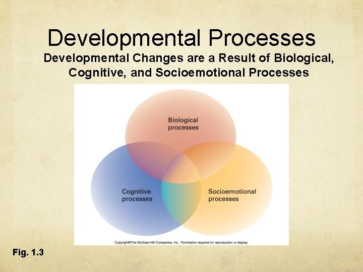 Developmental Processes Developmental Changes are a Result of Biological, Cognitive, and Socioemotional Processes Fig. Developmental Processes Developmental Changes are a Result of Biological, Cognitive, and Socioemotional Processes Fig.