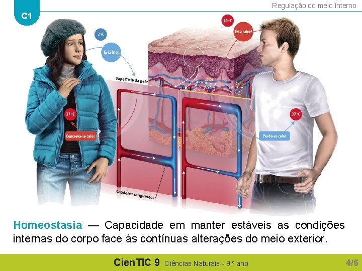 Regulação do meio interno C 1 Homeostasia — Capacidade em manter estáveis as condições