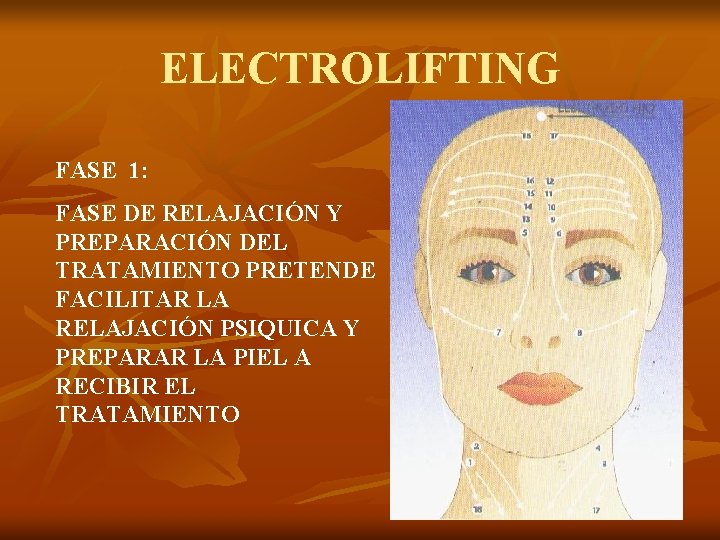 ELECTROLIFTING FASE 1: FASE DE RELAJACIÓN Y PREPARACIÓN DEL TRATAMIENTO PRETENDE FACILITAR LA RELAJACIÓN