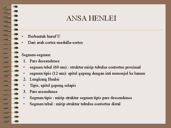 ANSA HENLEI • • Berbentuk huruf U Dari arah cortex-medulla-cortex Segmen-segmen: 1. Pars descendence