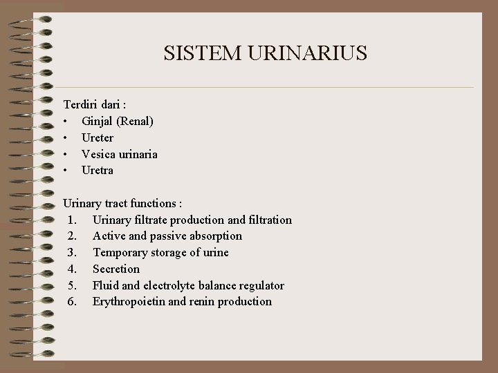 SISTEM URINARIUS Terdiri dari : • Ginjal (Renal) • Ureter • Vesica urinaria •