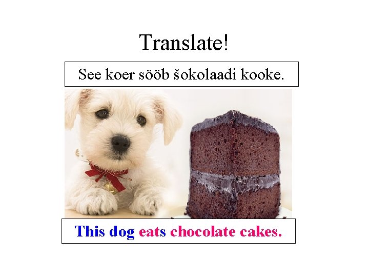 Translate! See koer sööb šokolaadi kooke. This dog eats chocolate cakes. Translate! See koer sööb šokolaadi kooke. This dog eats chocolate cakes.
