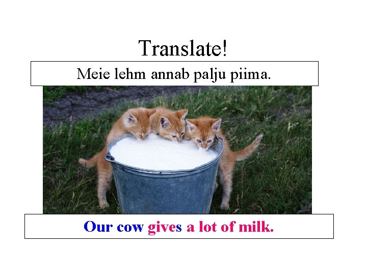 Translate! Meie lehm annab palju piima. Our cow gives a lot of milk. Translate! Meie lehm annab palju piima. Our cow gives a lot of milk.