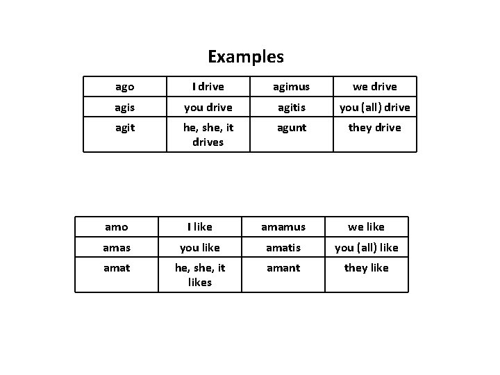 Examples ago I drive agimus we drive agis you drive agitis you (all) drive Examples ago I drive agimus we drive agis you drive agitis you (all) drive