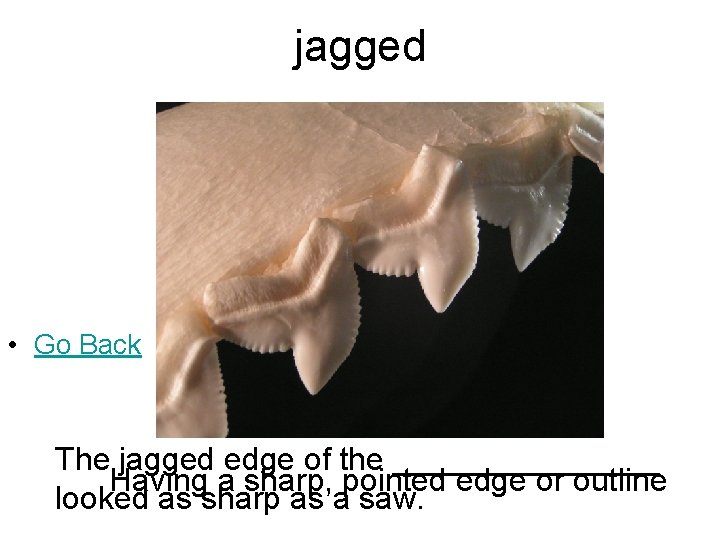 jagged • Go Back The jagged edge of the ________ Having a sharp, pointed jagged • Go Back The jagged edge of the ________ Having a sharp, pointed