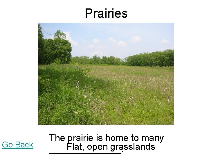 Prairies Go Back The prairie is home to many Flat, open grasslands _______. Prairies Go Back The prairie is home to many Flat, open grasslands _______.
