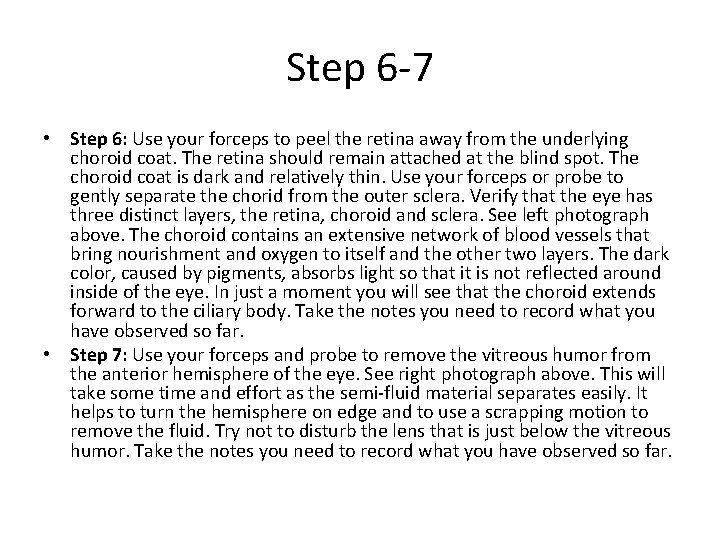 Step 6 -7 • Step 6: Use your forceps to peel the retina away