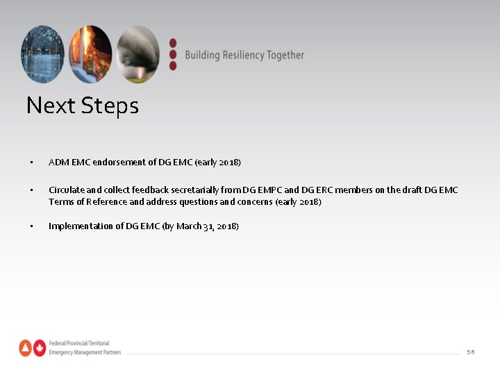 Next Steps • ADM EMC endorsement of DG EMC (early 2018) • Circulate and