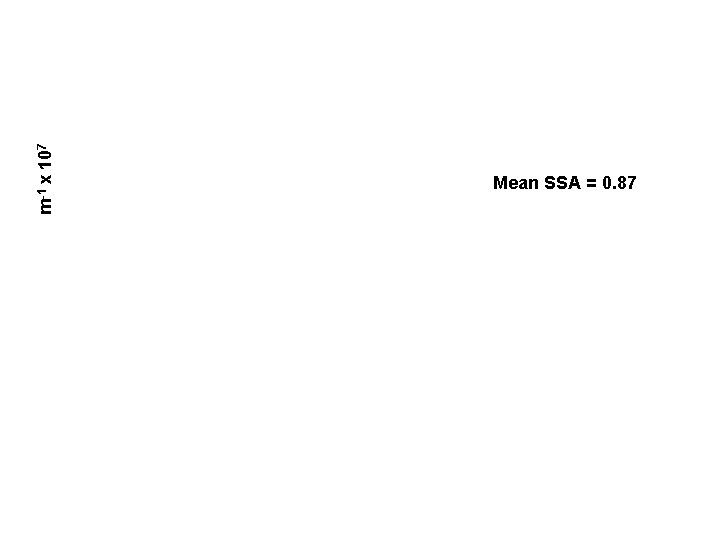 m-1 x 107 Mean SSA = 0. 87 