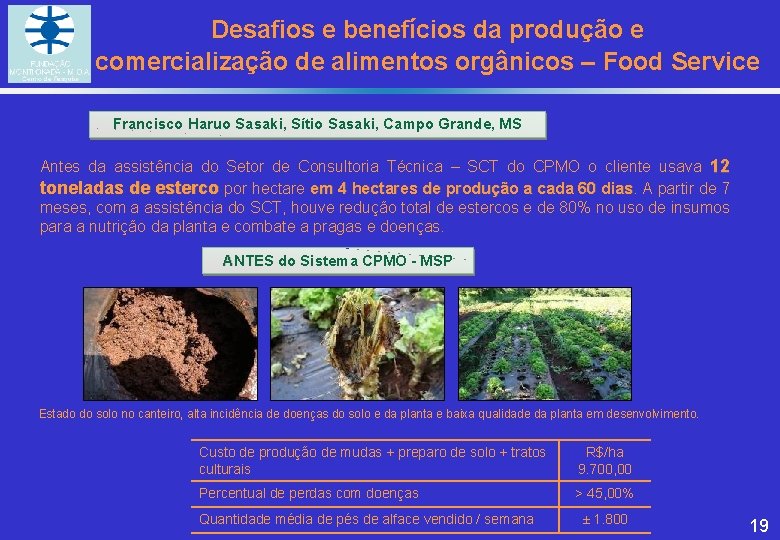 Desafios e benefícios da produção e comercialização de alimentos orgânicos – Food Service Francisco Desafios e benefícios da produção e comercialização de alimentos orgânicos – Food Service Francisco