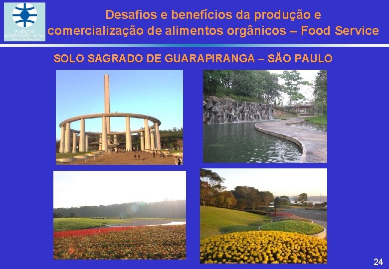 Desafios e benefícios da produção e comercialização de alimentos orgânicos – Food Service SOLO Desafios e benefícios da produção e comercialização de alimentos orgânicos – Food Service SOLO