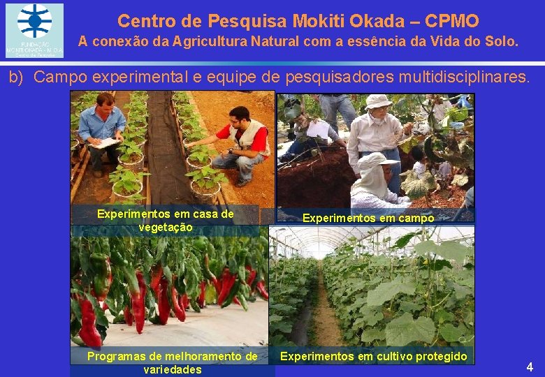 Centro de Pesquisa Mokiti Okada – CPMO A conexão da Agricultura Natural com a