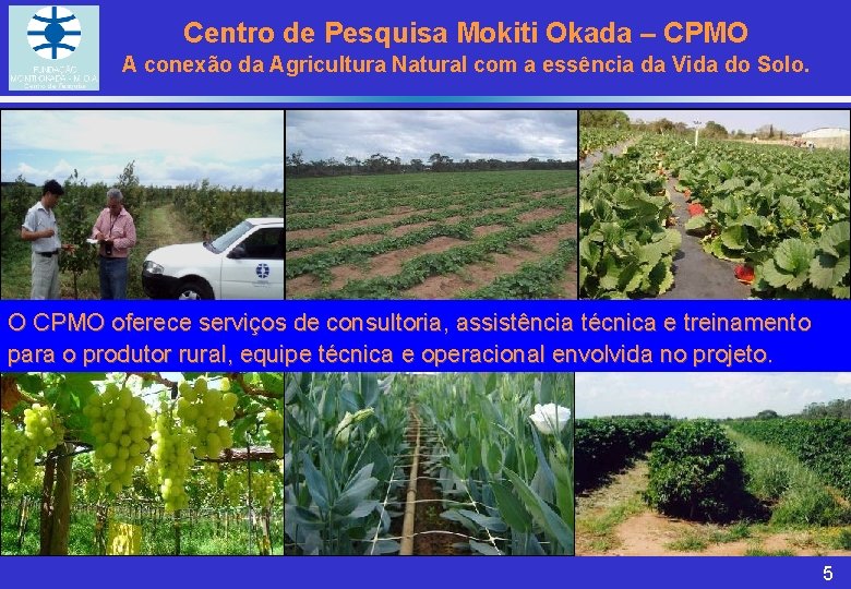 Centro de Pesquisa Mokiti Okada – CPMO A conexão da Agricultura Natural com a