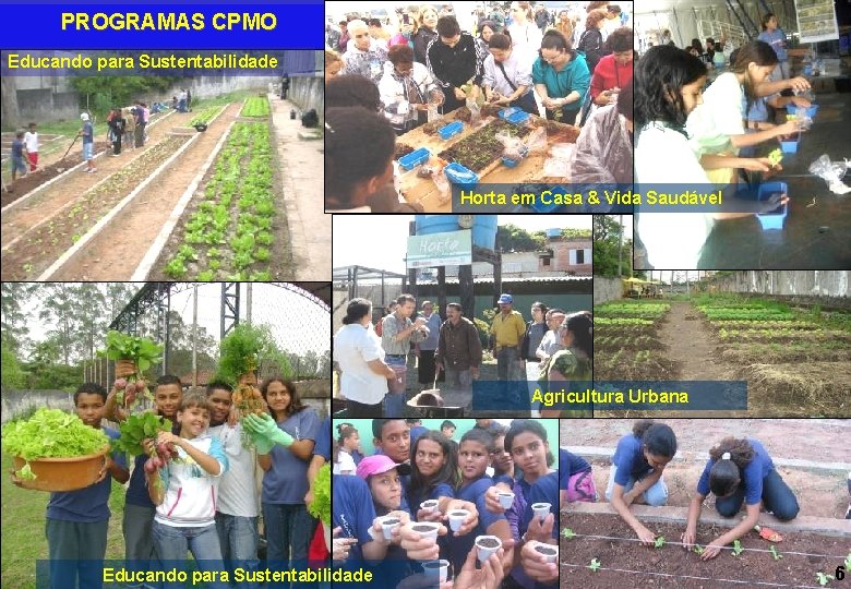 PROGRAMAS CPMO Educando para Sustentabilidade Horta em Casa & Vida Saudável Agricultura Urbana Educando