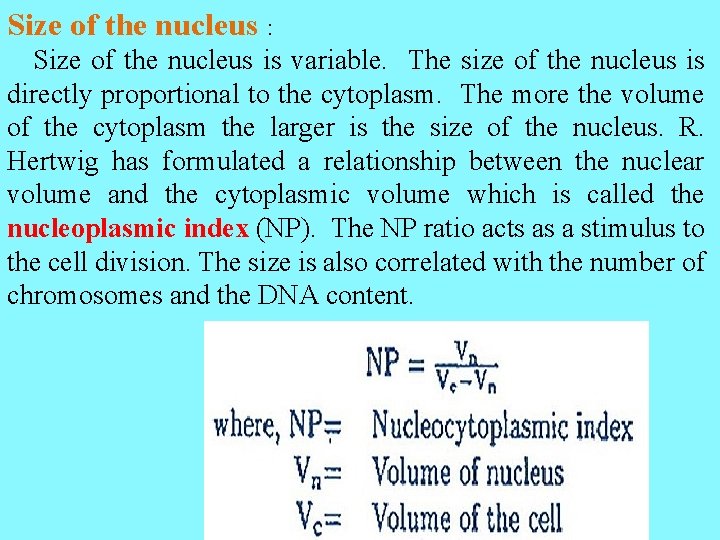 Size of the nucleus : Size of the nucleus is variable. The size of