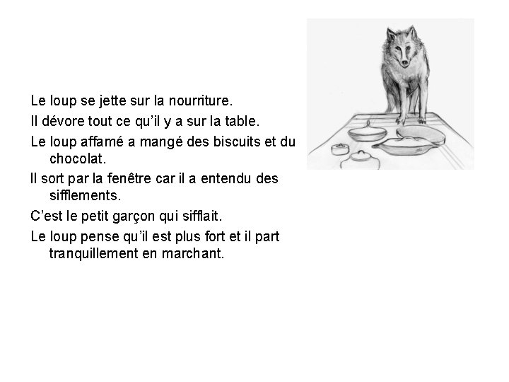 Le loup se jette sur la nourriture. Il dévore tout ce qu’il y a