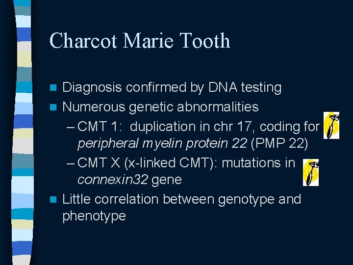 Charcot Marie Tooth Diagnosis confirmed by DNA testing n Numerous genetic abnormalities – CMT Charcot Marie Tooth Diagnosis confirmed by DNA testing n Numerous genetic abnormalities – CMT