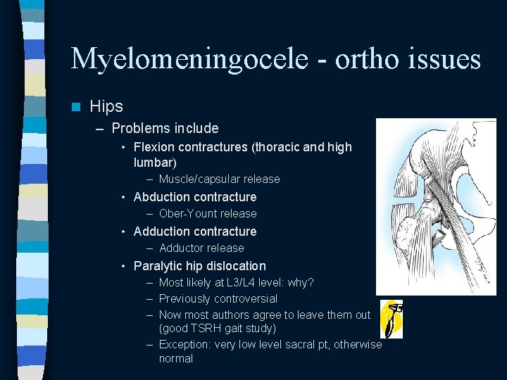 Myelomeningocele - ortho issues n Hips – Problems include • Flexion contractures (thoracic and Myelomeningocele - ortho issues n Hips – Problems include • Flexion contractures (thoracic and