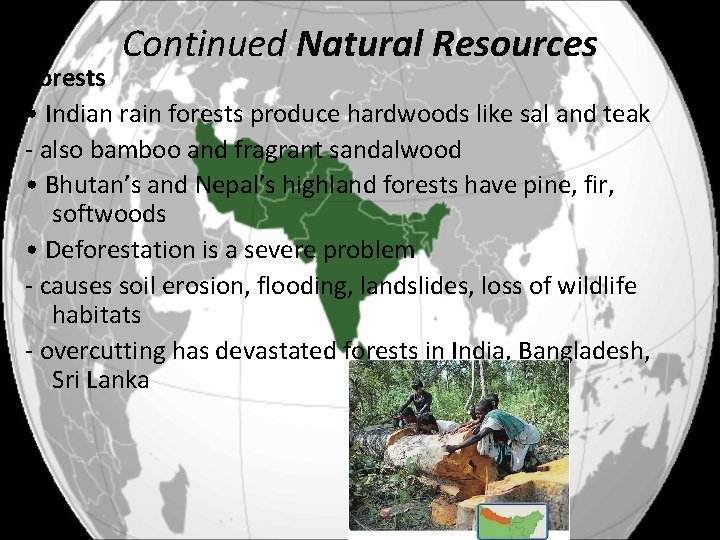 Continued Natural Resources Forests • Indian rain forests produce hardwoods like sal and teak