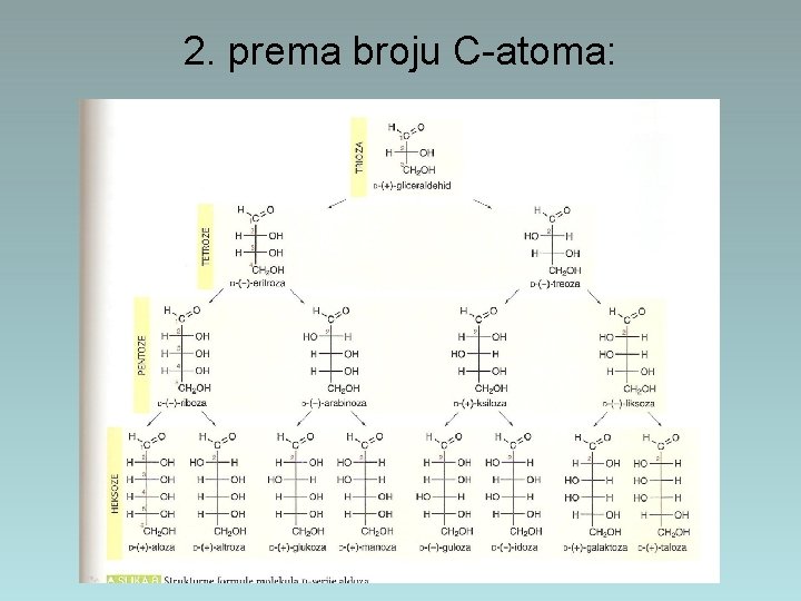 2. prema broju C-atoma: 