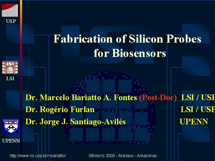 USP Fabrication of Silicon Probes for Biosensors LSI Dr. Marcelo Bariatto A. Fontes (Post-Doc)
