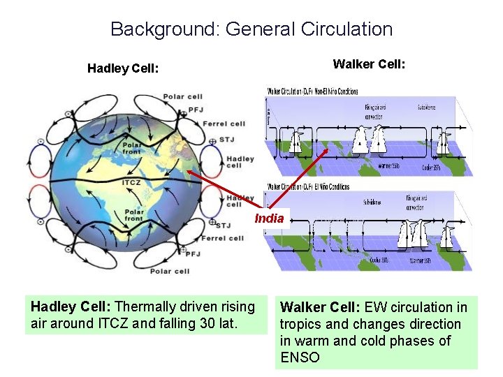 Background: General Circulation Walker Cell: Hadley Cell: India Hadley Cell: Thermally driven rising air