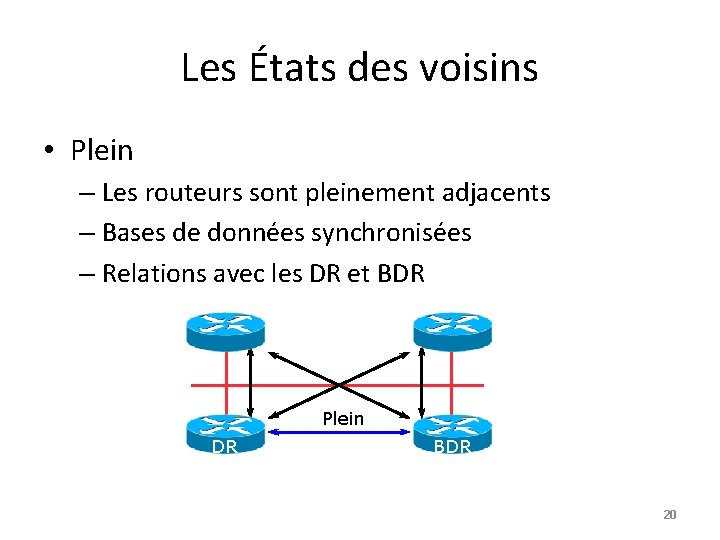 Les États des voisins • Plein – Les routeurs sont pleinement adjacents – Bases