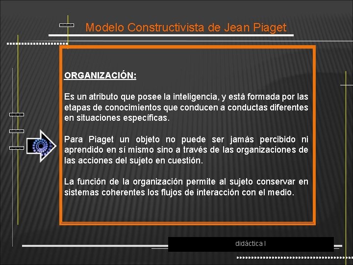 Modelo Constructivista de Jean Piaget ORGANIZACIÓN: Es un atributo que posee la inteligencia, y