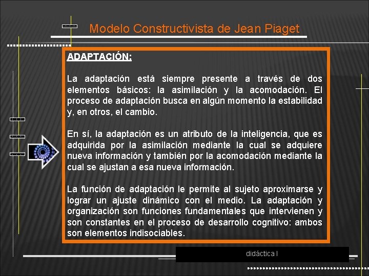 Modelo Constructivista de Jean Piaget ADAPTACIÓN: La adaptación está siempre presente a través de