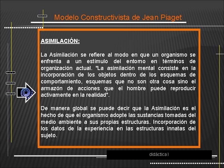 Modelo Constructivista de Jean Piaget ASIMILACIÓN: La Asimilación se refiere al modo en que