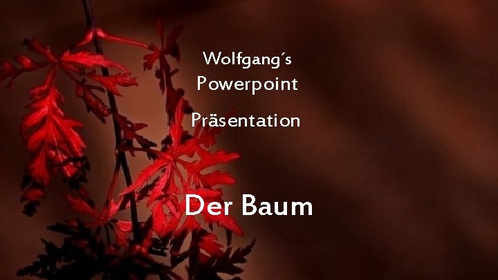 Wolfgang´s Powerpoint Präsentation Der Baum 