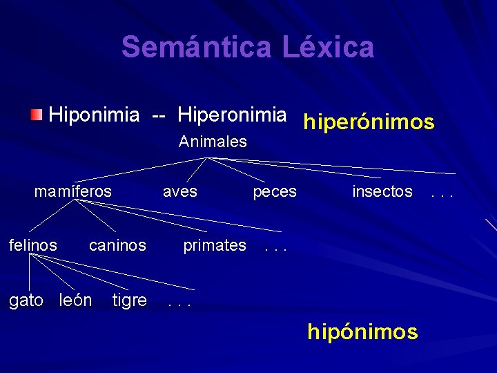 Semántica Léxica Hiponimia -- Hiperonimia hiperónimos Animales mamíferos felinos aves caninos gato león tigre