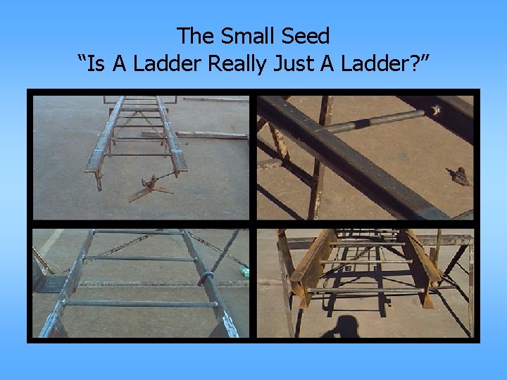 The Small Seed “Is A Ladder Really Just A Ladder? ” 