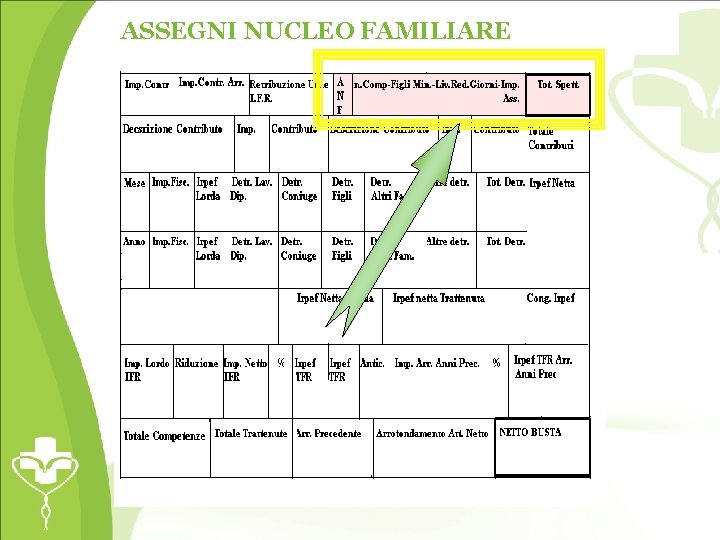 ASSEGNI NUCLEO FAMILIARE 