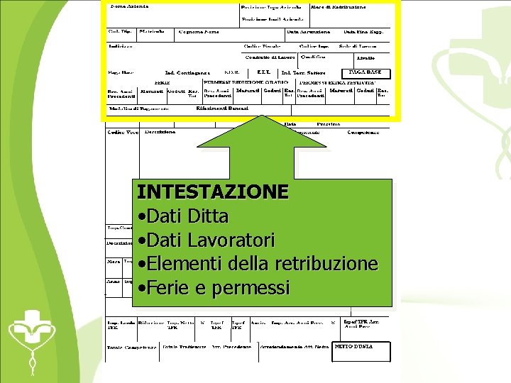 INTESTAZIONE • Dati Ditta • Dati Lavoratori • Elementi della retribuzione • Ferie e