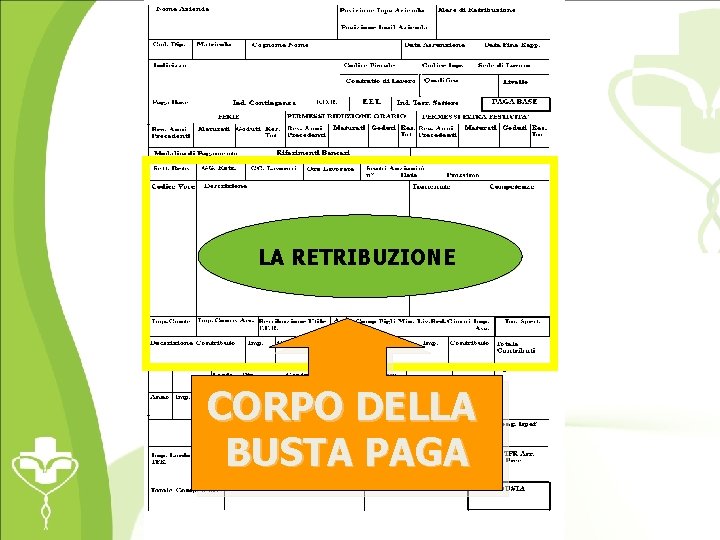 LA RETRIBUZIONE CORPO DELLA BUSTA PAGA 